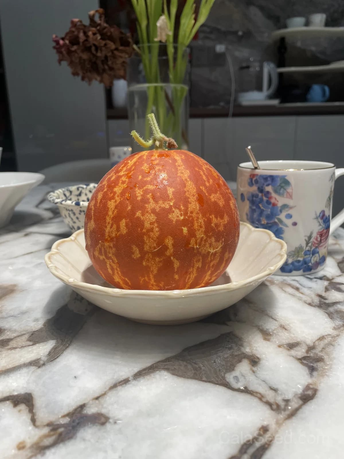 Tigger Melon 'Tiger' Seeds — Edible Ornamental Vine - Alt