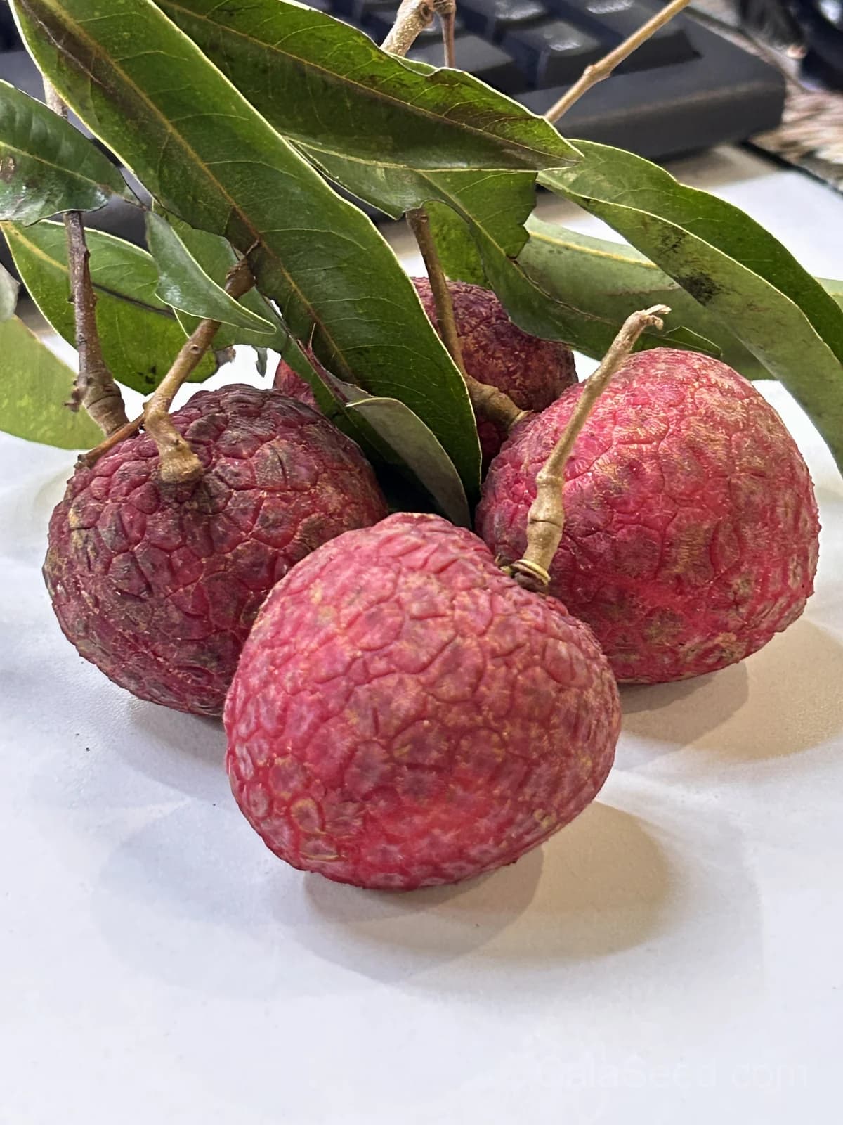 Lychee Seeds — Sweet Tropical Fruit - Main