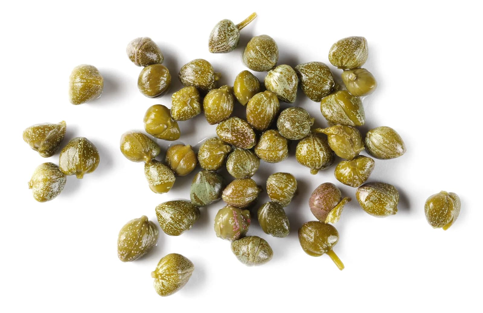 Caper Bush 'Flinders Rose' Seeds — Edible Flower Buds - View 5