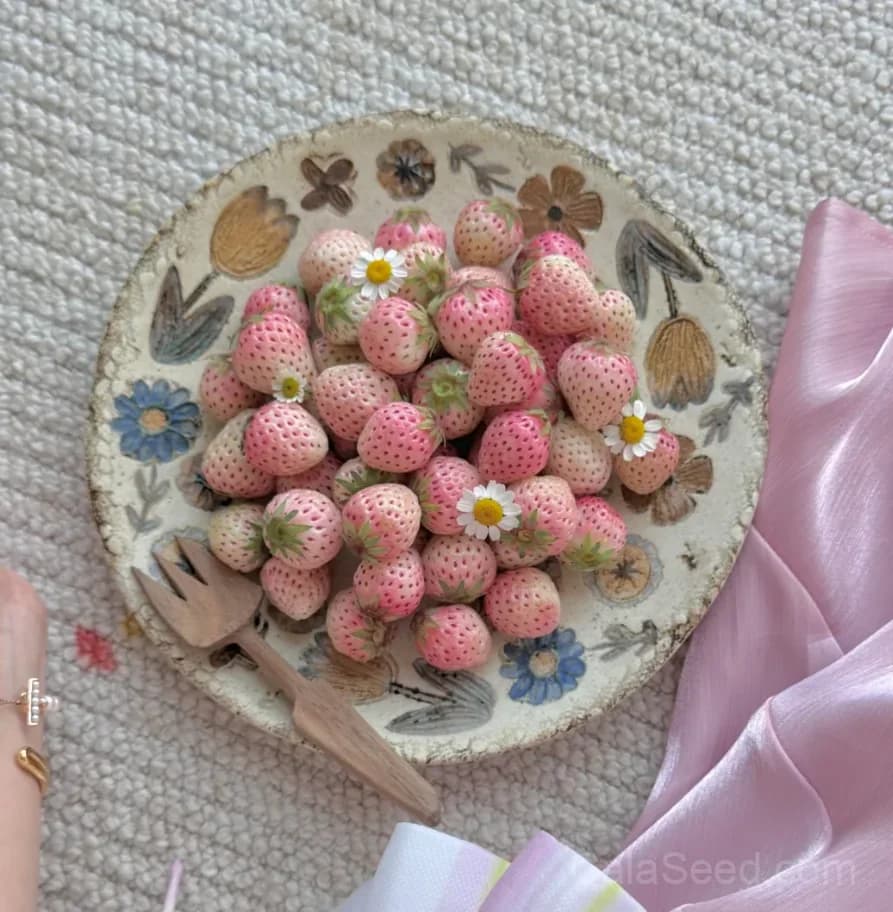 Mini Pink Strawberry Seeds – Sweet, Juicy, High Germination & Easy to Grow - View 3