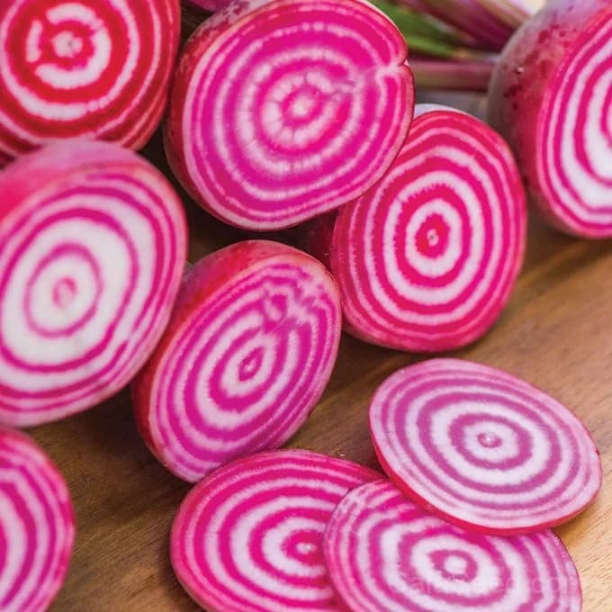 Chioggia Beet Seeds — Candy-Striped Heirloom Root - Main