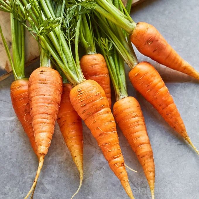 Danvers 126 Carrot Seeds — Classic Heirloom Root Vegetable - Main