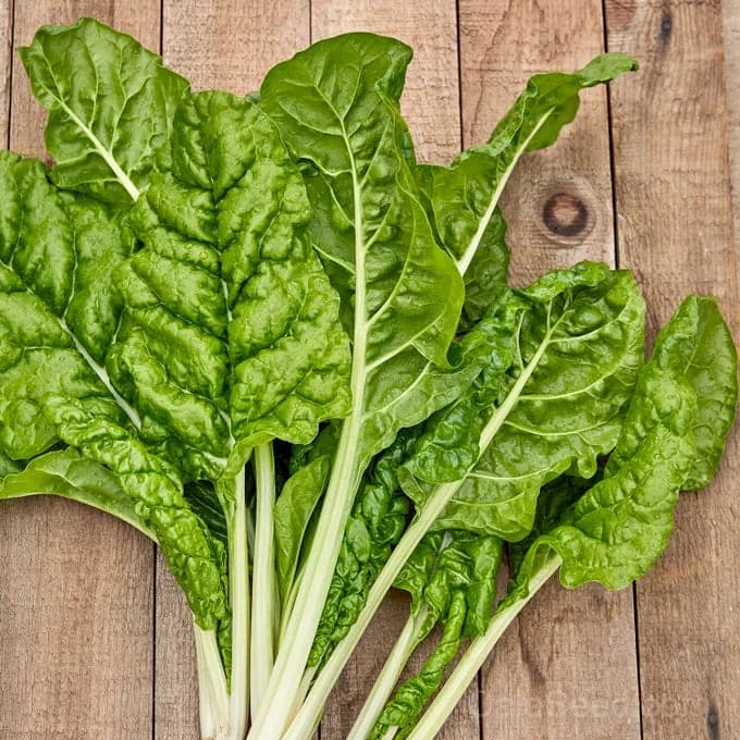 Fordhook Giant Swiss Chard Seeds — Large-Leaf Heat-Tolerant Greens - Main