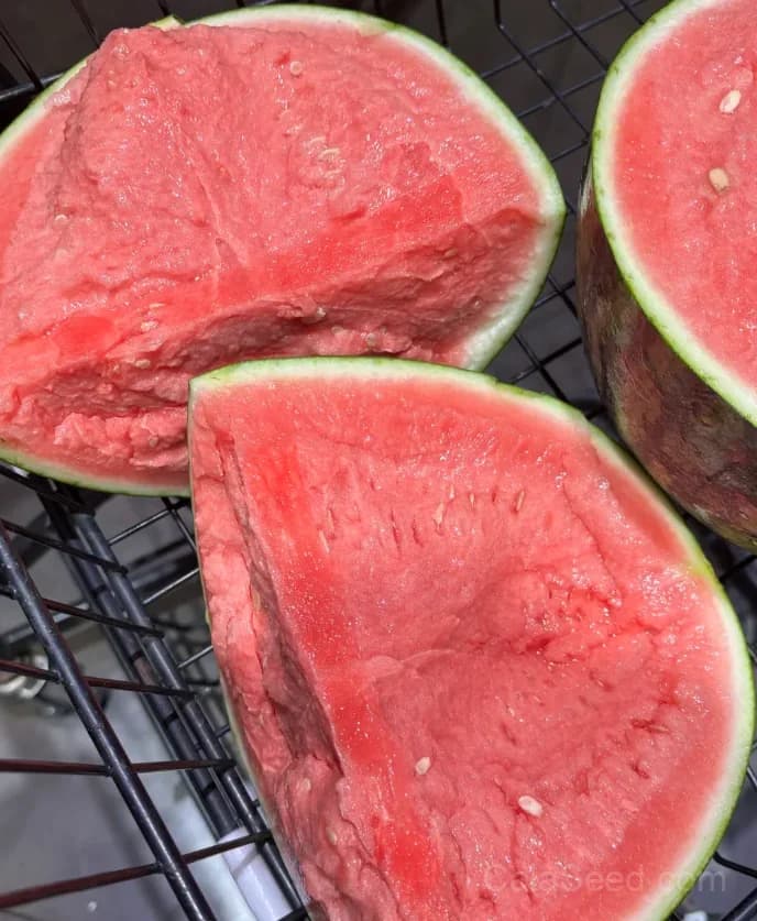 Seedless Watermelon Seeds — Sweet Seedless Summer Fruit - View 10