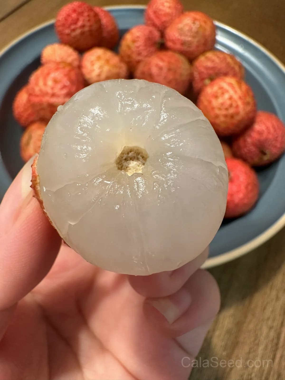 Lychee Seeds — Sweet Tropical Fruit - View 5