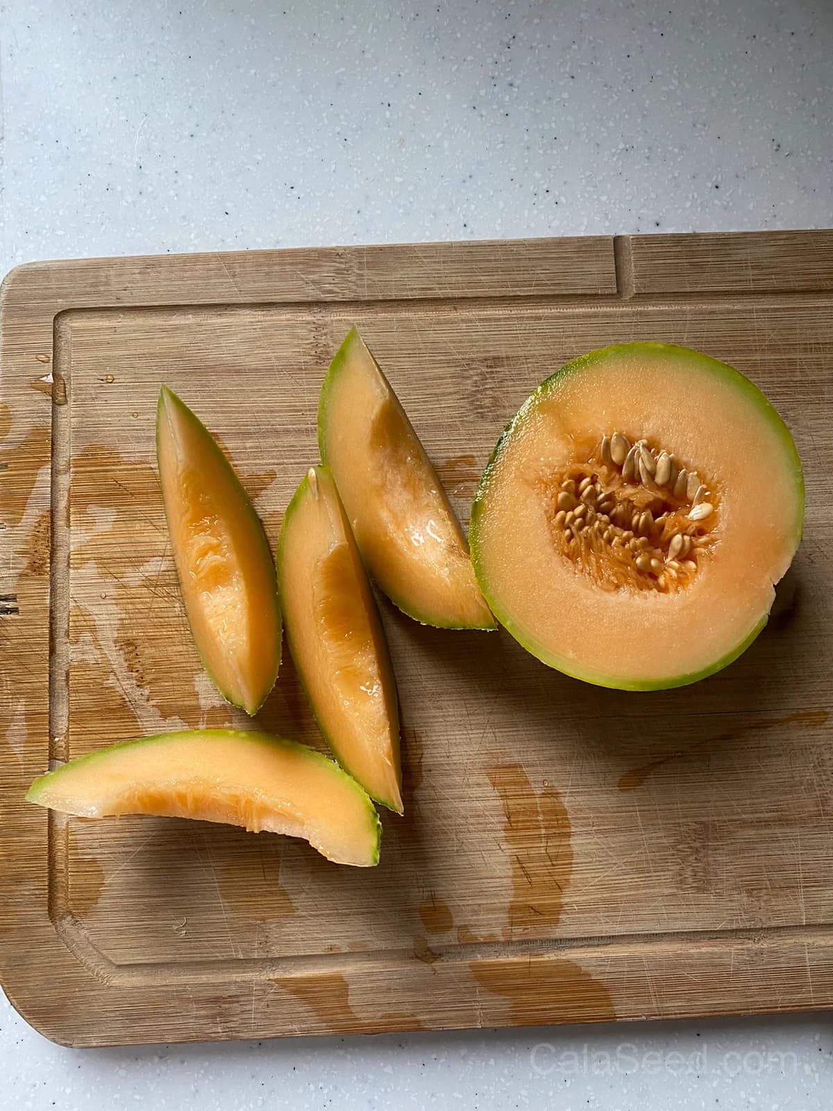 Melon 'Malaga F1' Seeds — Sweet Early Harvest - View 4