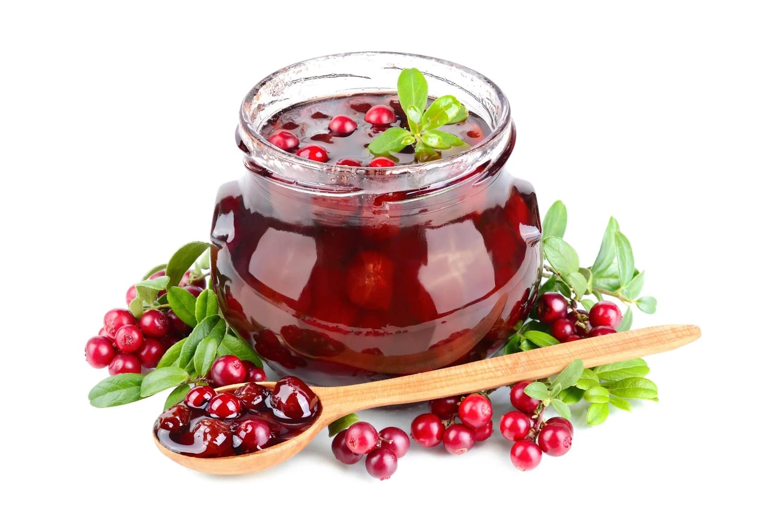 Lingonberry 'Mountain Cranberry' Seeds — Dwarf Evergreen Edible Fruit - Alt