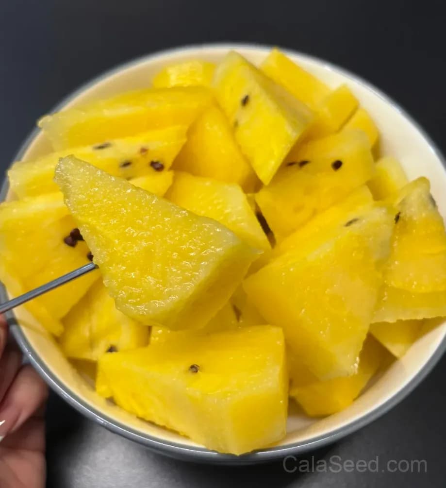 Golden Yellow Flesh Watermelon Seeds – Sweet & Juicy Heirloom Watermelon for Home Gardens - Main