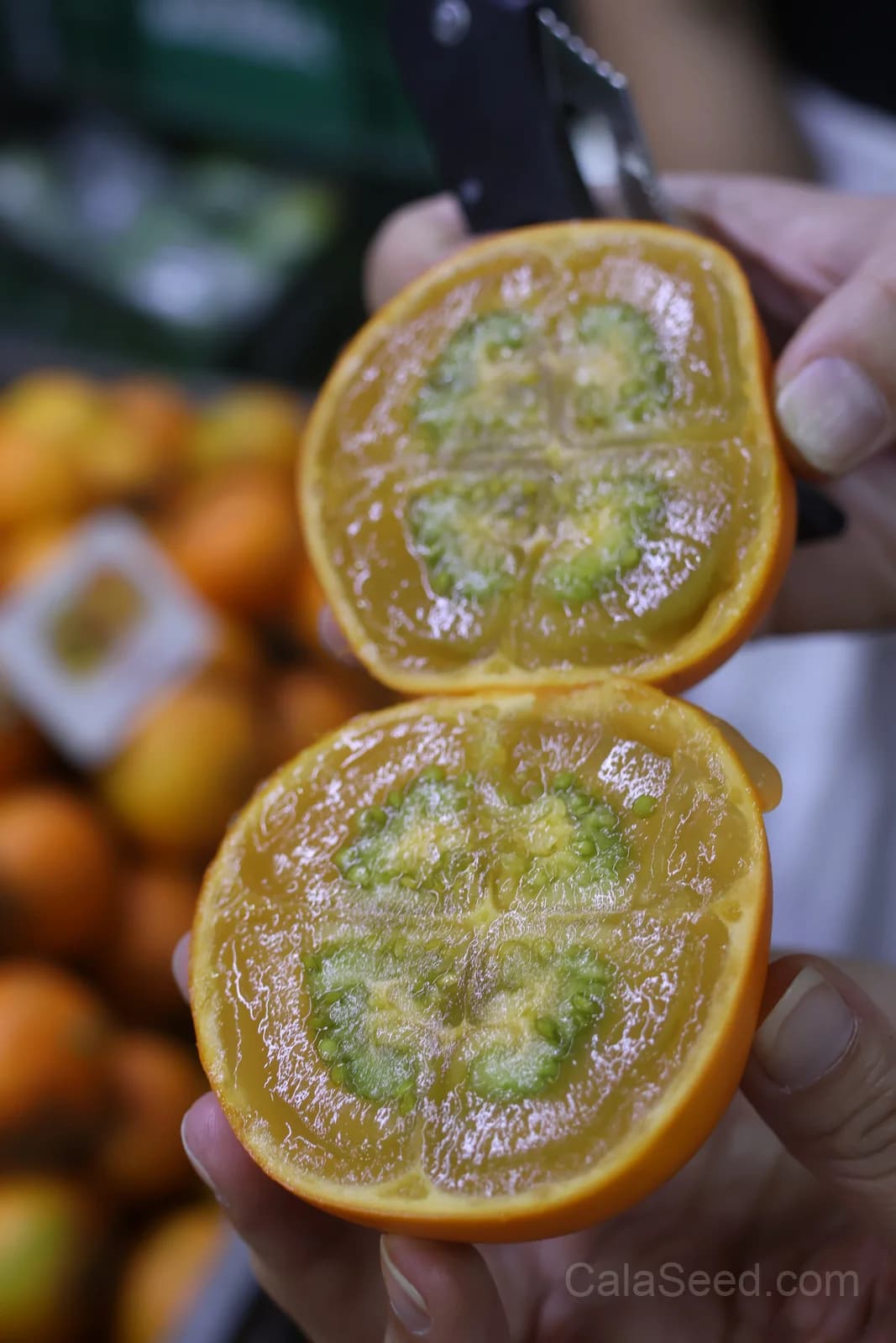 Naranjilla Seeds — Exotic Citrus Fruit for Home Gardens - Main
