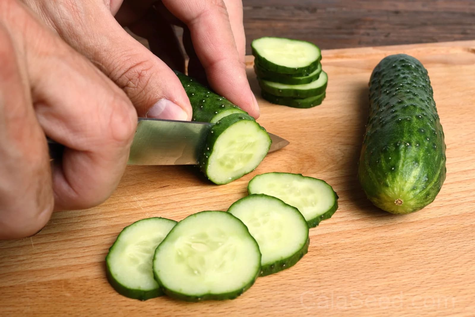 Boston Pickling Cucumber Seeds — Heirloom Gherkin Vegetable - View 5