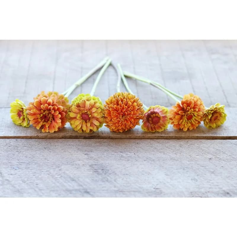 Queeny Lime Orange Zinnia Seeds — Vibrant Two-Tone Blooms - View 3