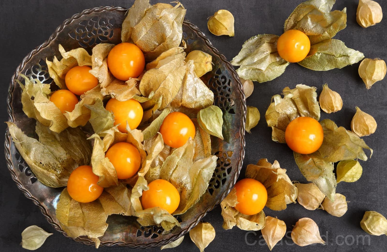 Pineapple Tomatillo 'Yellow Ground Cherry' Seeds — Sweet Tropical Fruit Vine - Main