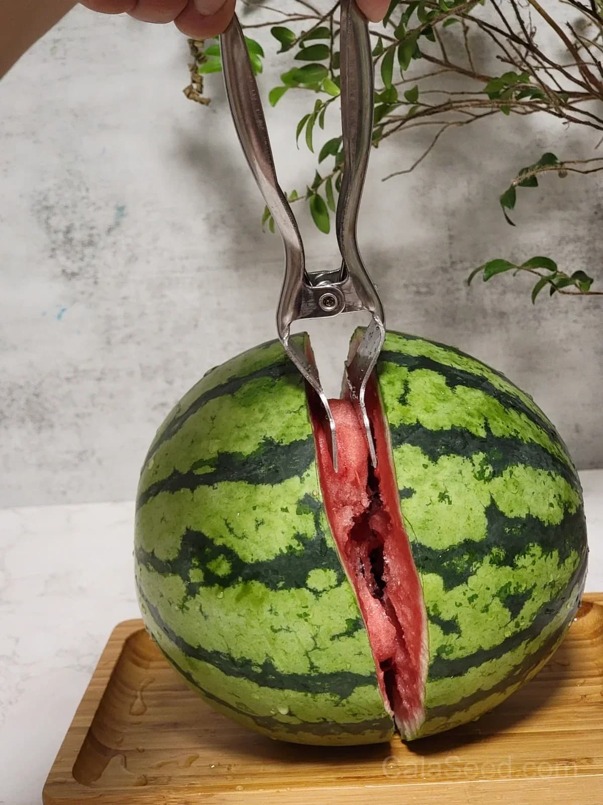 Watermelon Opener Tool – Stainless Steel Fruit Cutter for Easy Watermelon Slicing - View 2