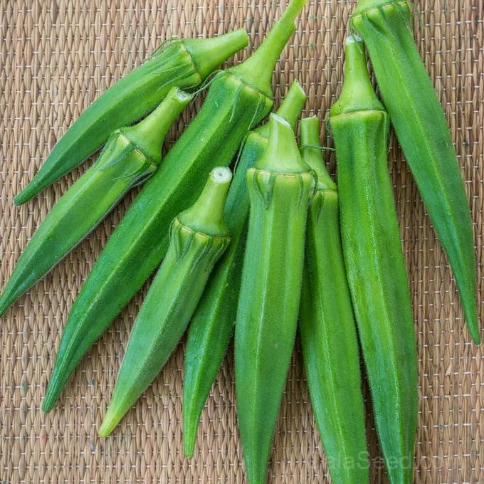 Go Big Okra Seeds — High-Yield Heirloom Vegetable - Alt