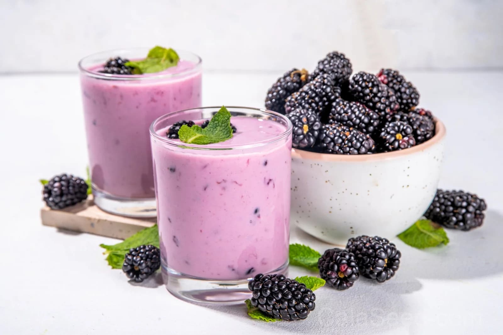 Blackberry 'Allegheniensis' Seeds — Native Wild Fruit Bush - View 10