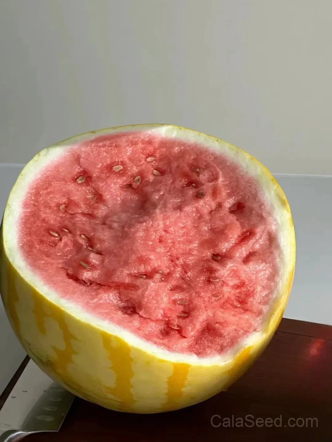 Premium Yellow Skin Seedless Watermelon Seeds | Sweet Rare Variety for Home Gardeners - View 1