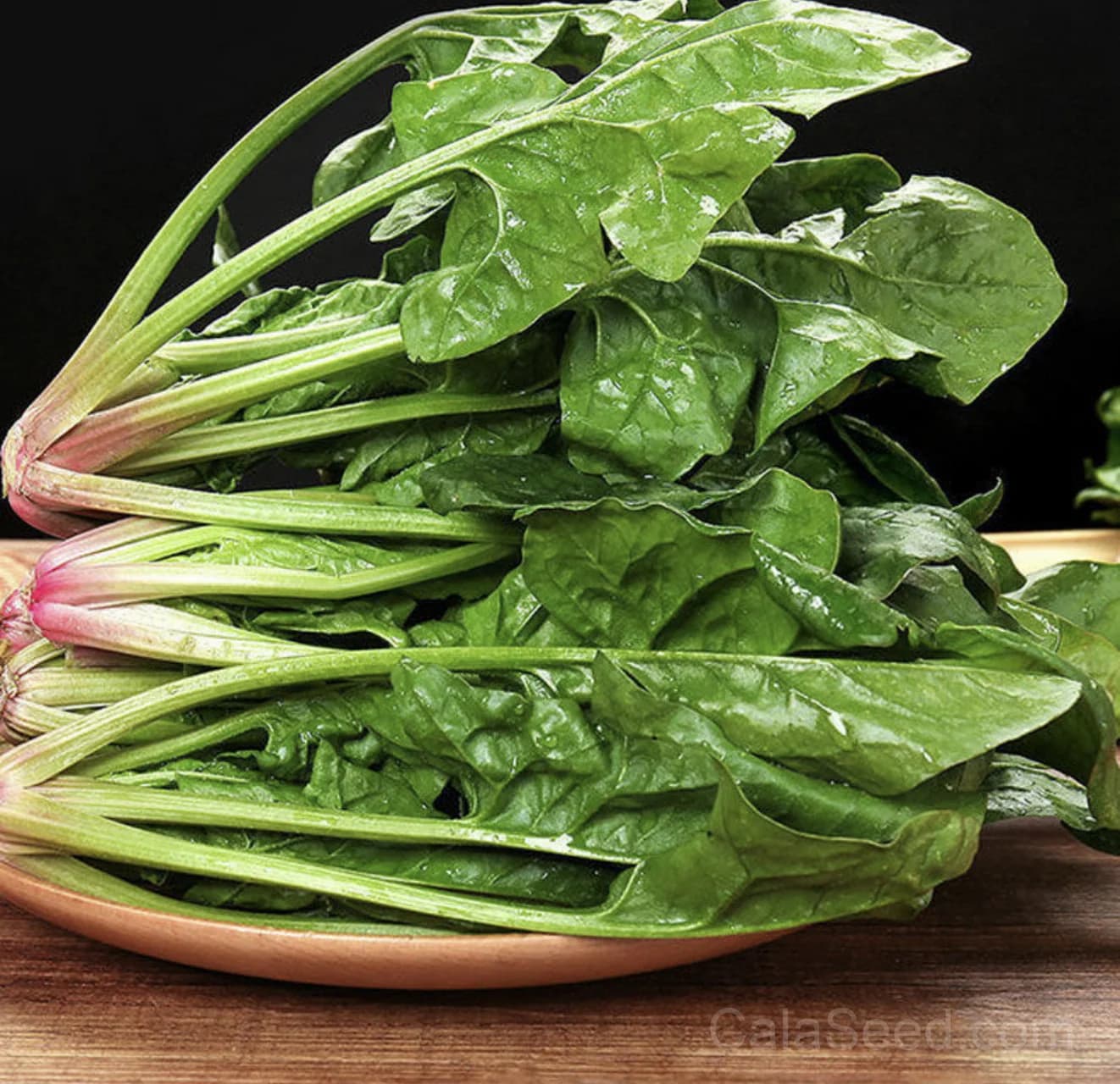 Baby's Leaf Spinach Seeds — Tender Salad Greens - Alt