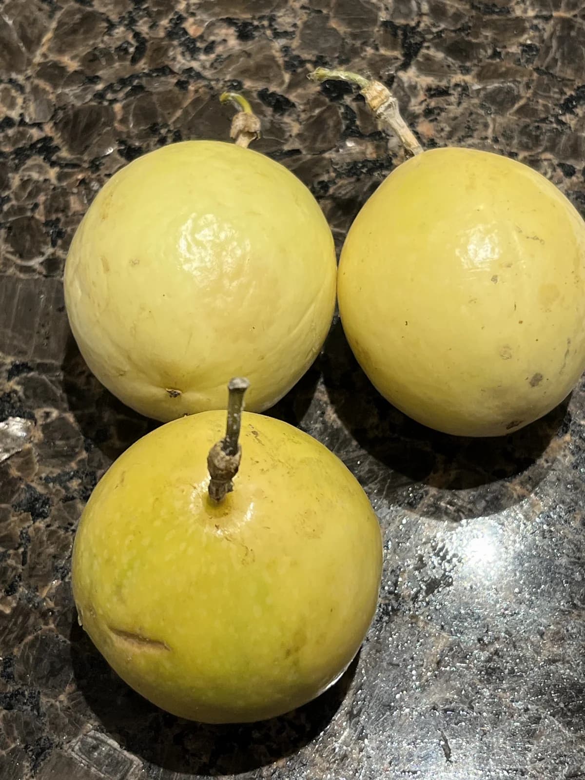 Yellow Passion Fruit 'Flavicarpa' Seeds — Golden Tropical Vine - View 2