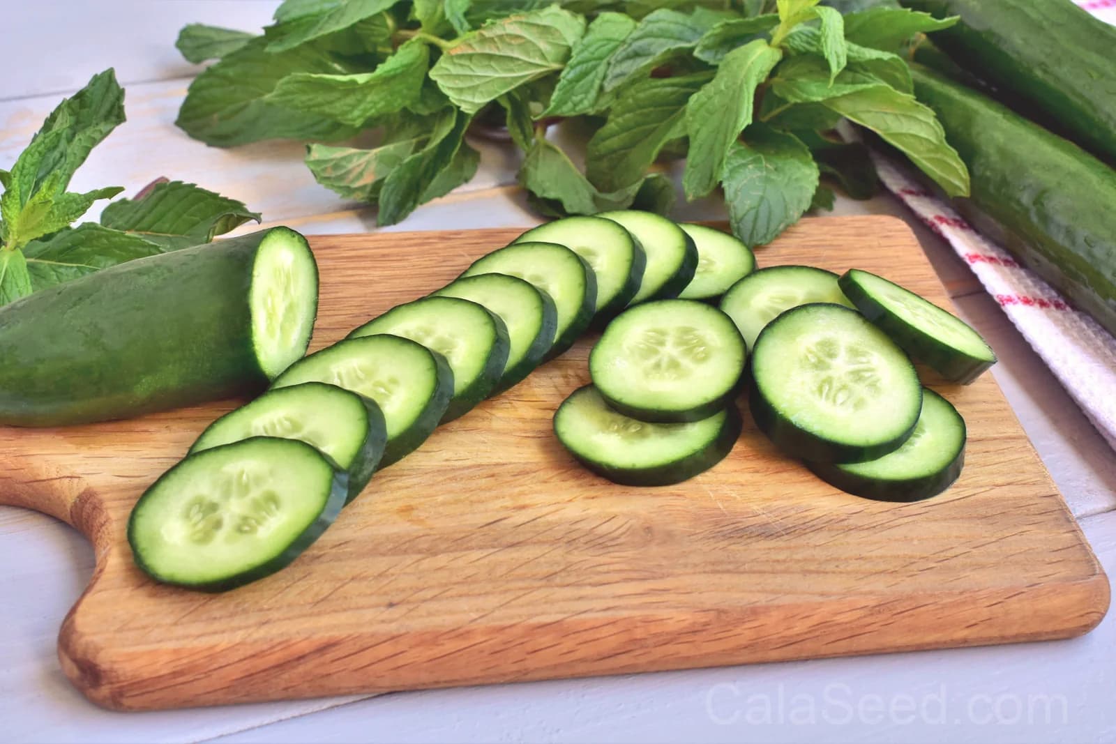 Long Green Improved Cucumber Seeds — High-Yield Slicing Variety - View 4
