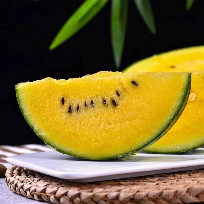Yellow Crimson Watermelon Seeds — Sweet Yellow-Fleshed Fruit - Alt