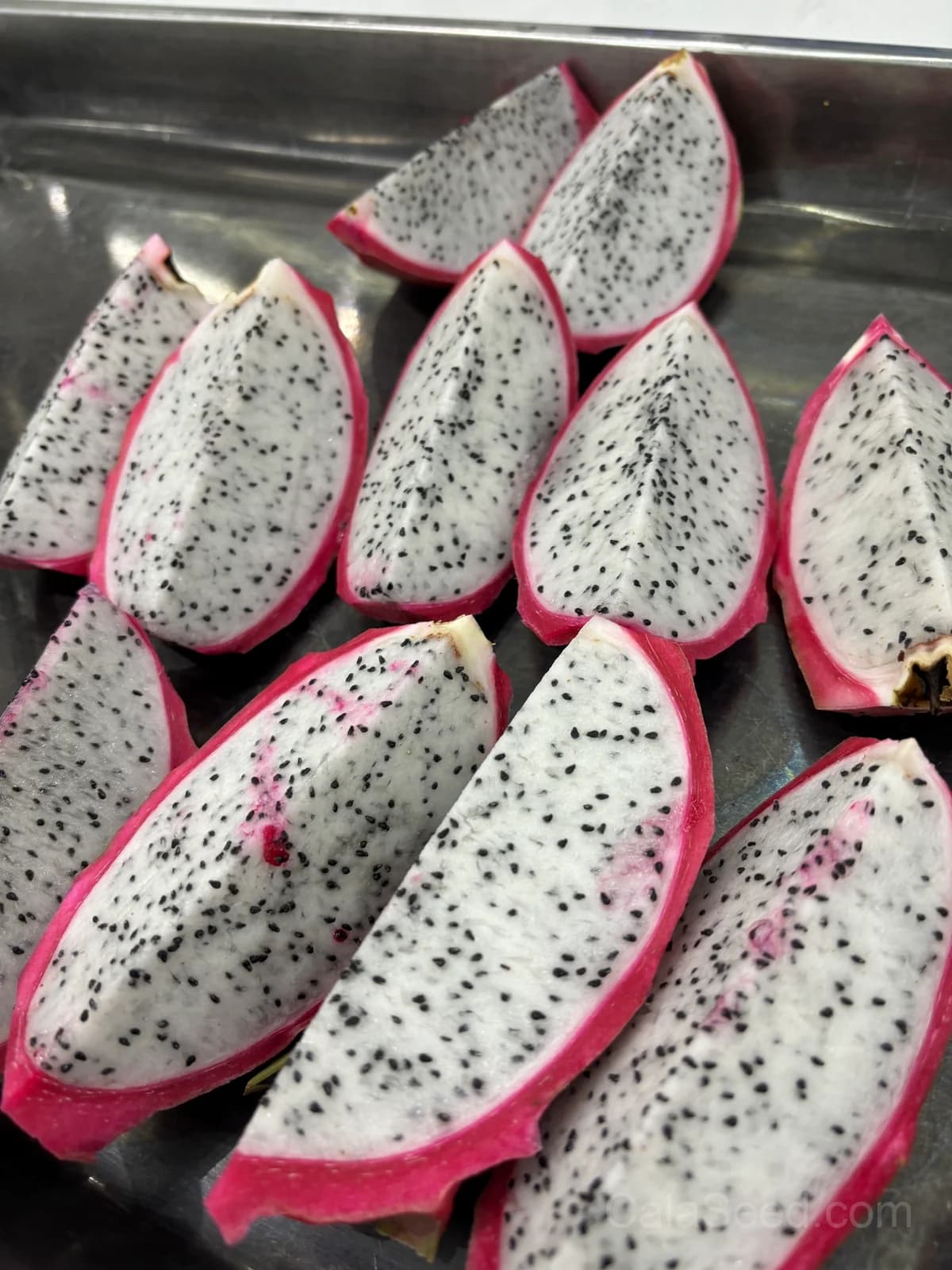 Dragon Fruit 'American Beauty' Seeds — Sweet Tropical Vine - View 3