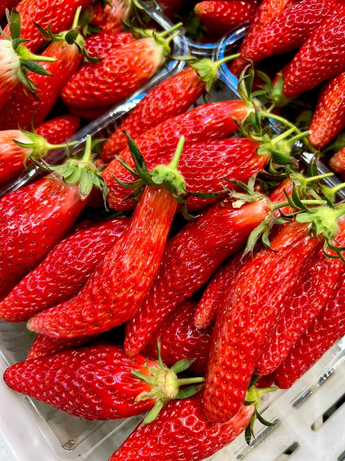 Banana Strawberry Seeds – Sweet, Fragrant, High Germination & Easy to Grow - Main