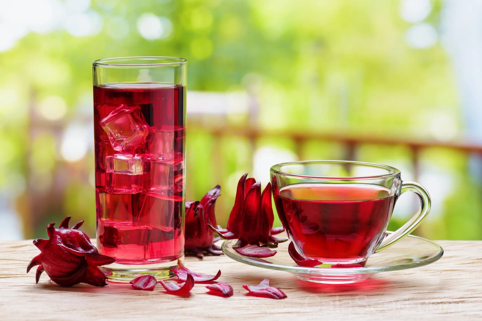 Roselle Hibiscus 'Sabdariffa' Seeds — Edible Red Calyces - View 2