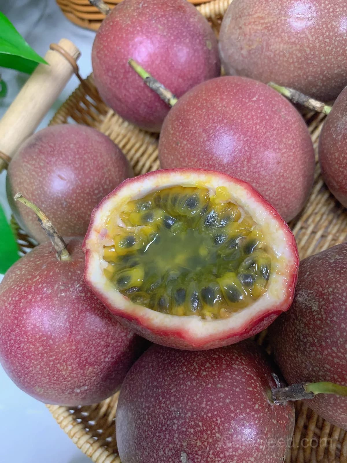 Purple Passion Fruit 'Granadilla' Seeds — Sweet Tropical Vine - Alt
