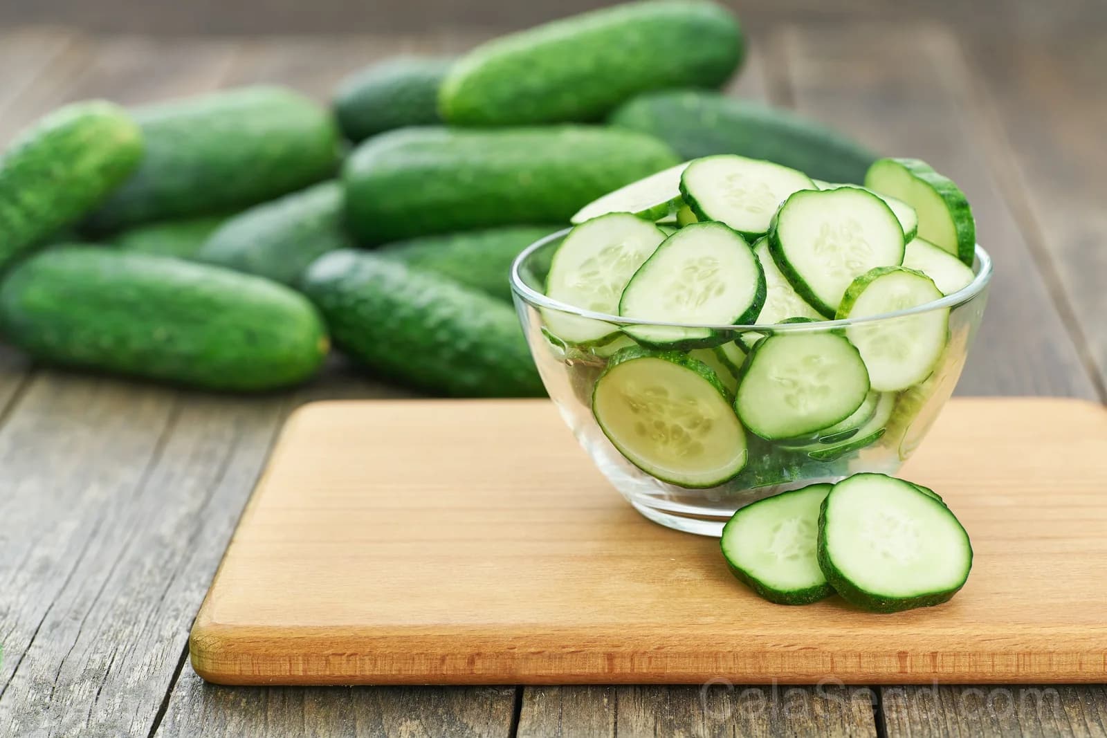 National Pickling Cucumber Seeds — Classic Crisp Pickling Fruit - View 8