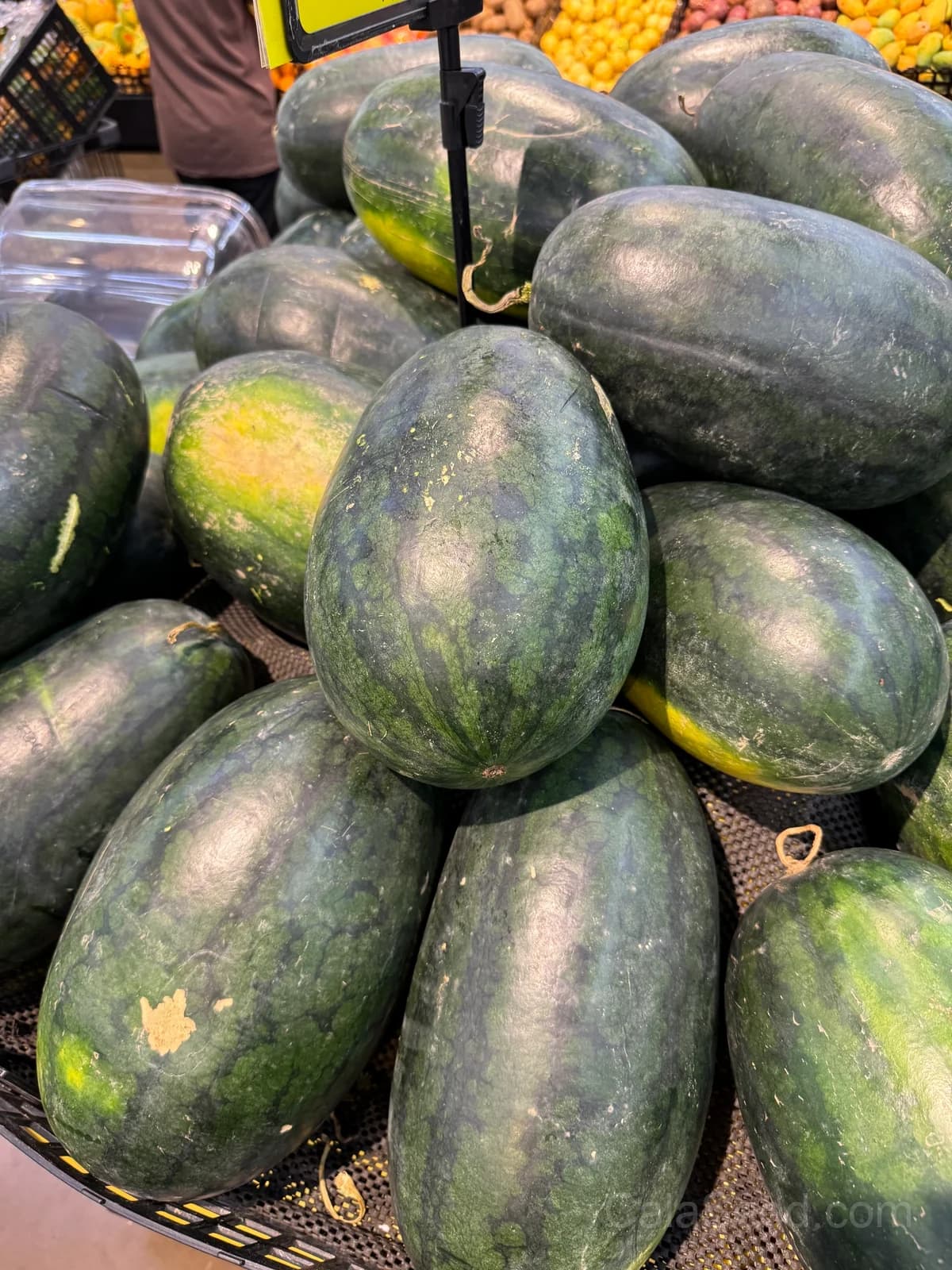 Congo Watermelon Seeds — Sweet Red Heirloom Fruit - View 3