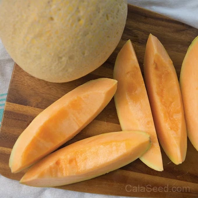 Aphrodite Cantaloupe Seeds — Sweet Classic Melon - Main