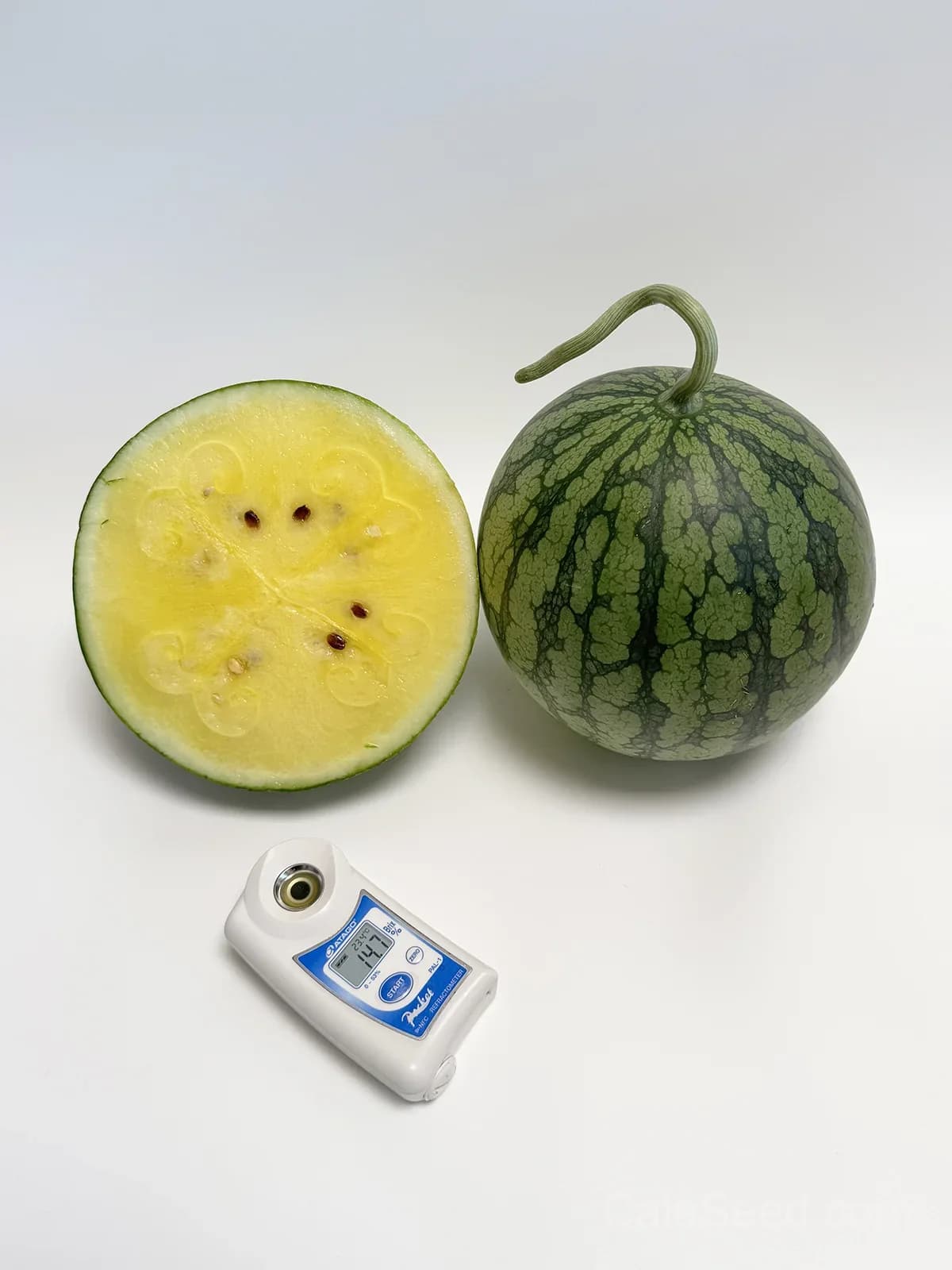 Green Rind Yellow Flesh Watermelon Seeds – Sweet, Juicy, High Germination & Easy to Grow - Alt