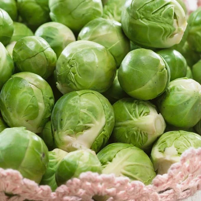 Catskill Brussels Sprouts Seeds — Cold-Hardy Heirloom Vegetable - Main