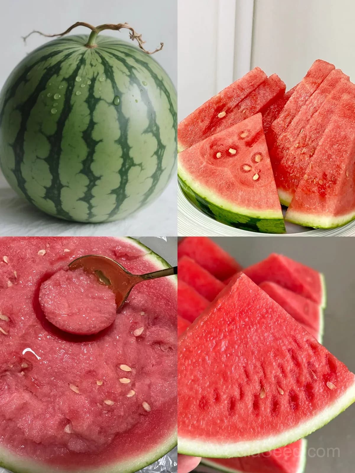 Seedless Watermelon Seeds — Sweet Seedless Summer Fruit - Main