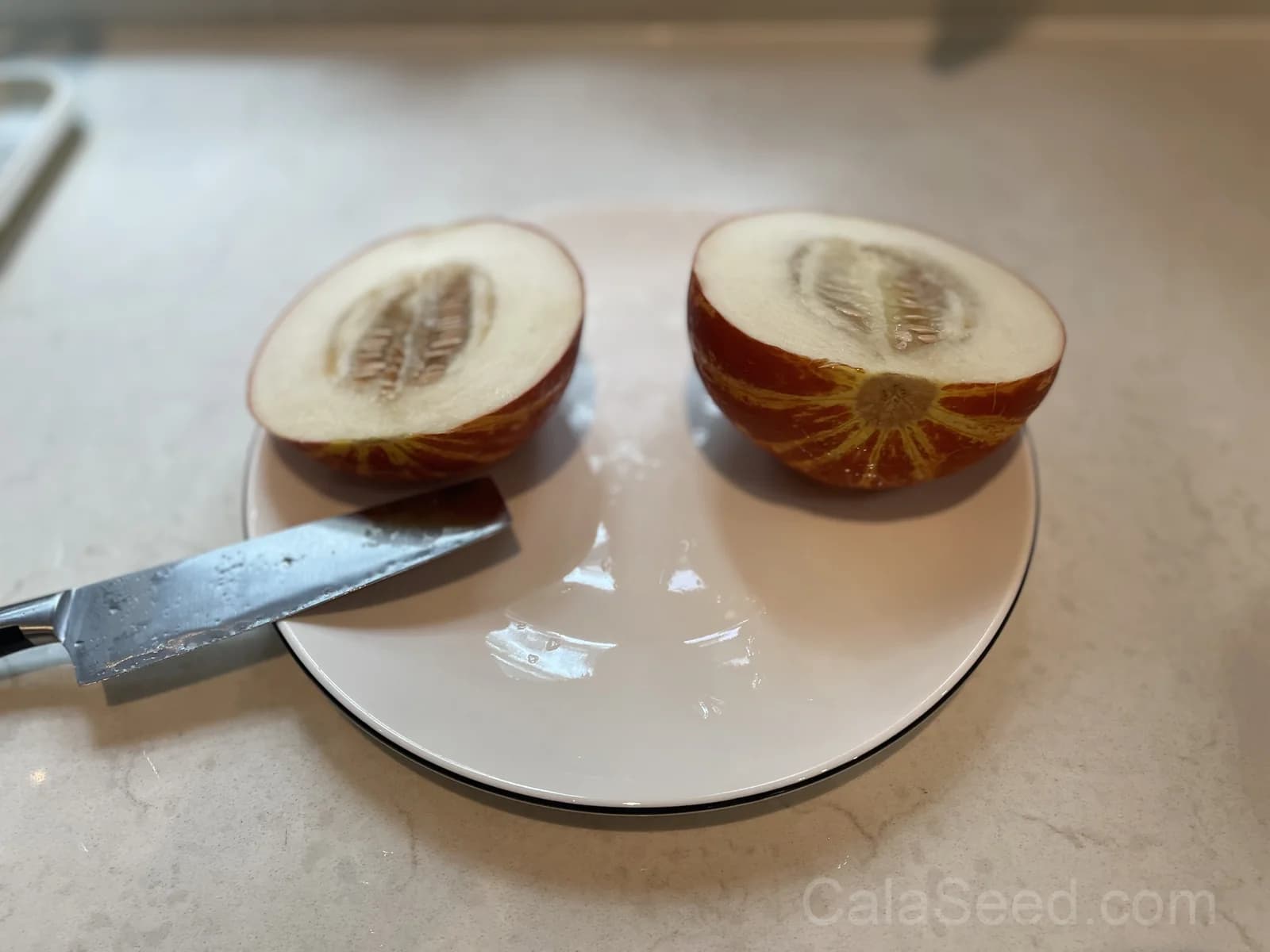 Tigger Melon 'Tiger' Seeds — Edible Ornamental Vine - View 4