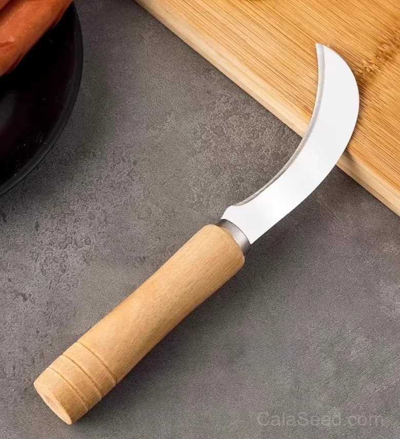 Curved Watermelon Sickle Knife – Sharp Stainless Steel Fruit Cutting Tool for Easy Watermelon Slicing - View 6