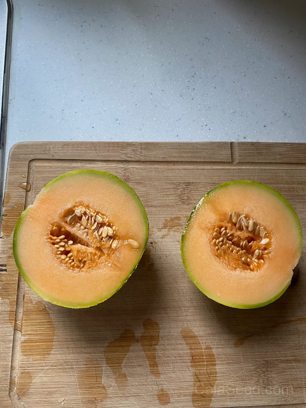 Melon 'Malaga F1' Seeds — Sweet Early Harvest - Alt