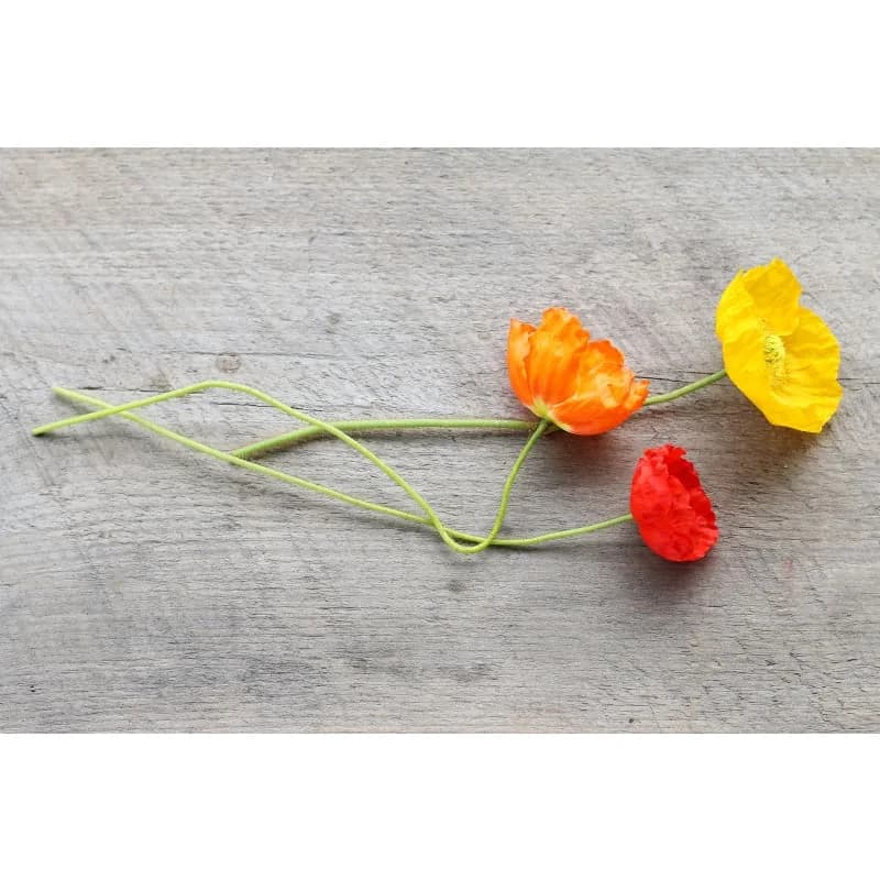 Champagne Bubbles Poppy Seeds — Prolific White Blooms - View 3
