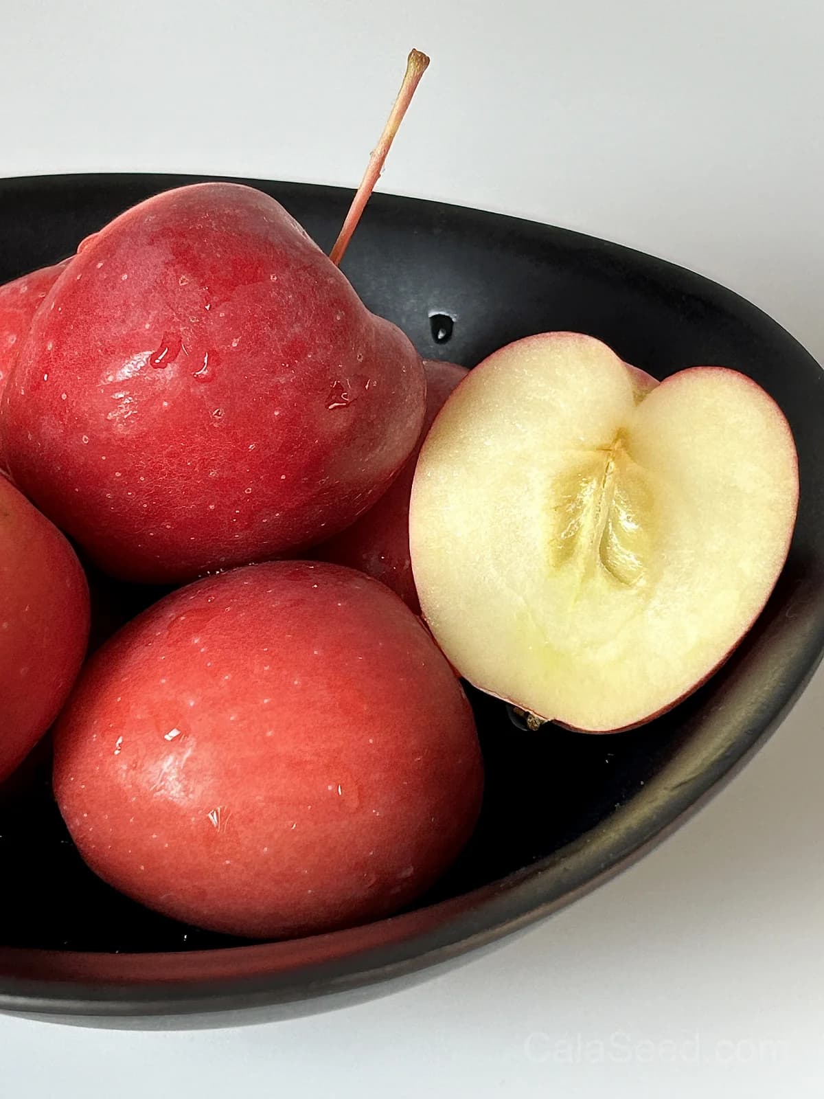 Apple 'Summer Gold' Seeds — Sweet Early Harvest Fruit - Main