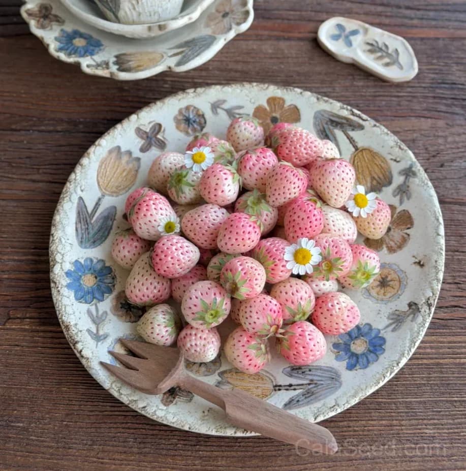 Mini Pink Strawberry Seeds – Sweet, Juicy, High Germination & Easy to Grow - View 4