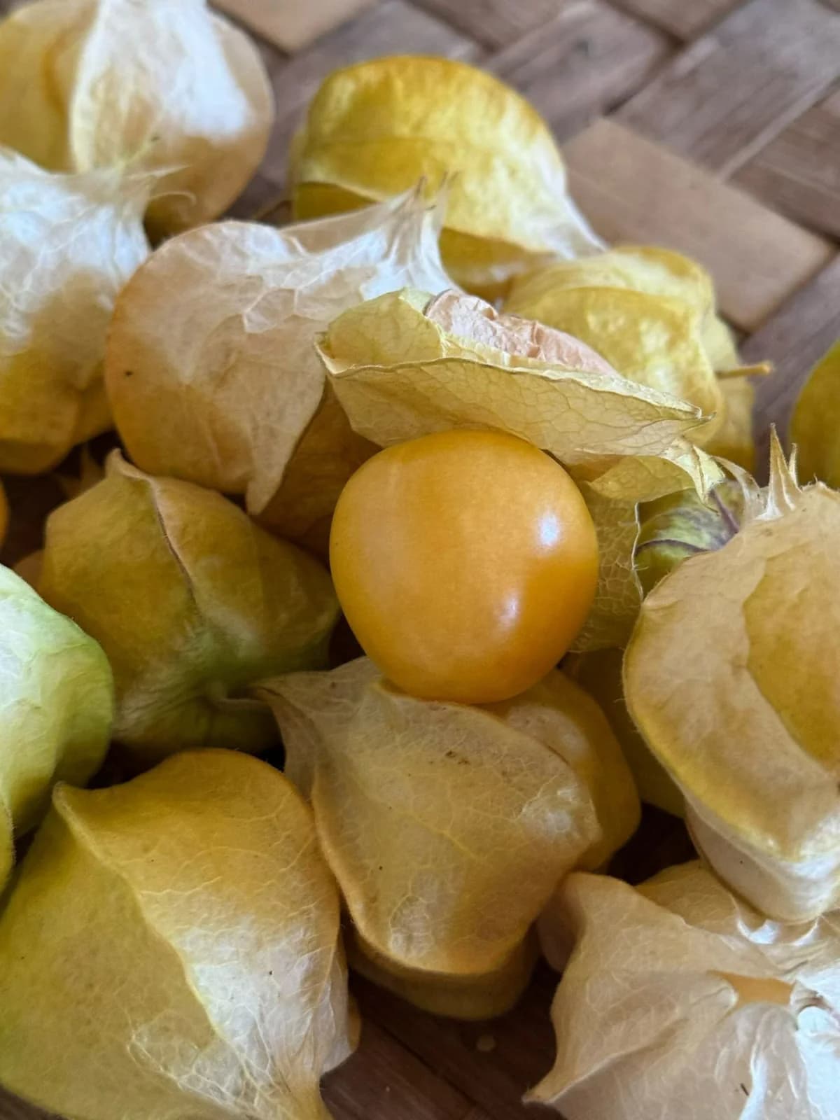 Pineapple Tomatillo 'Yellow Ground Cherry' Seeds — Sweet Tropical Fruit Vine - Alt