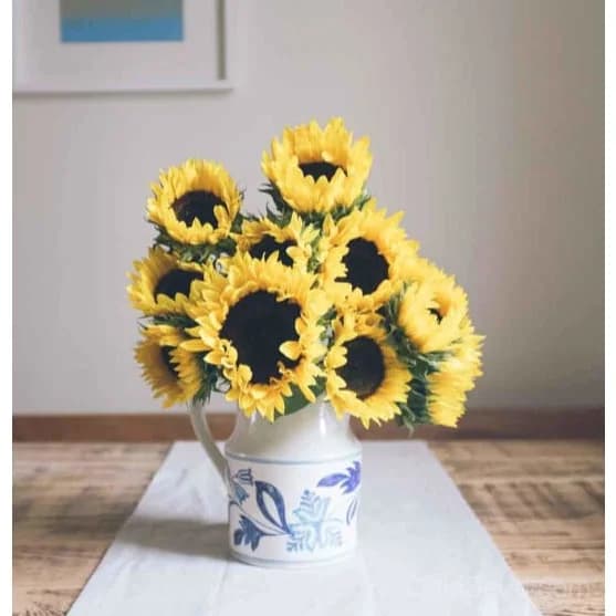 Sunflower Mix Seeds — Vibrant Pollinator-Friendly Blooms - View 1
