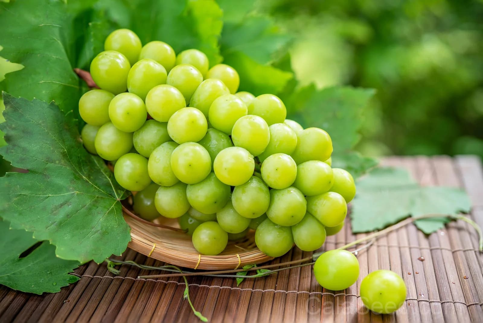 Green Dessert Grape 'Vitis Vinifera' Seeds — Sweet Table Fruit Vine - View 7