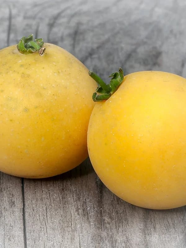 Dovyalis Caffra Seeds — South African Apricot Fruit - View 5