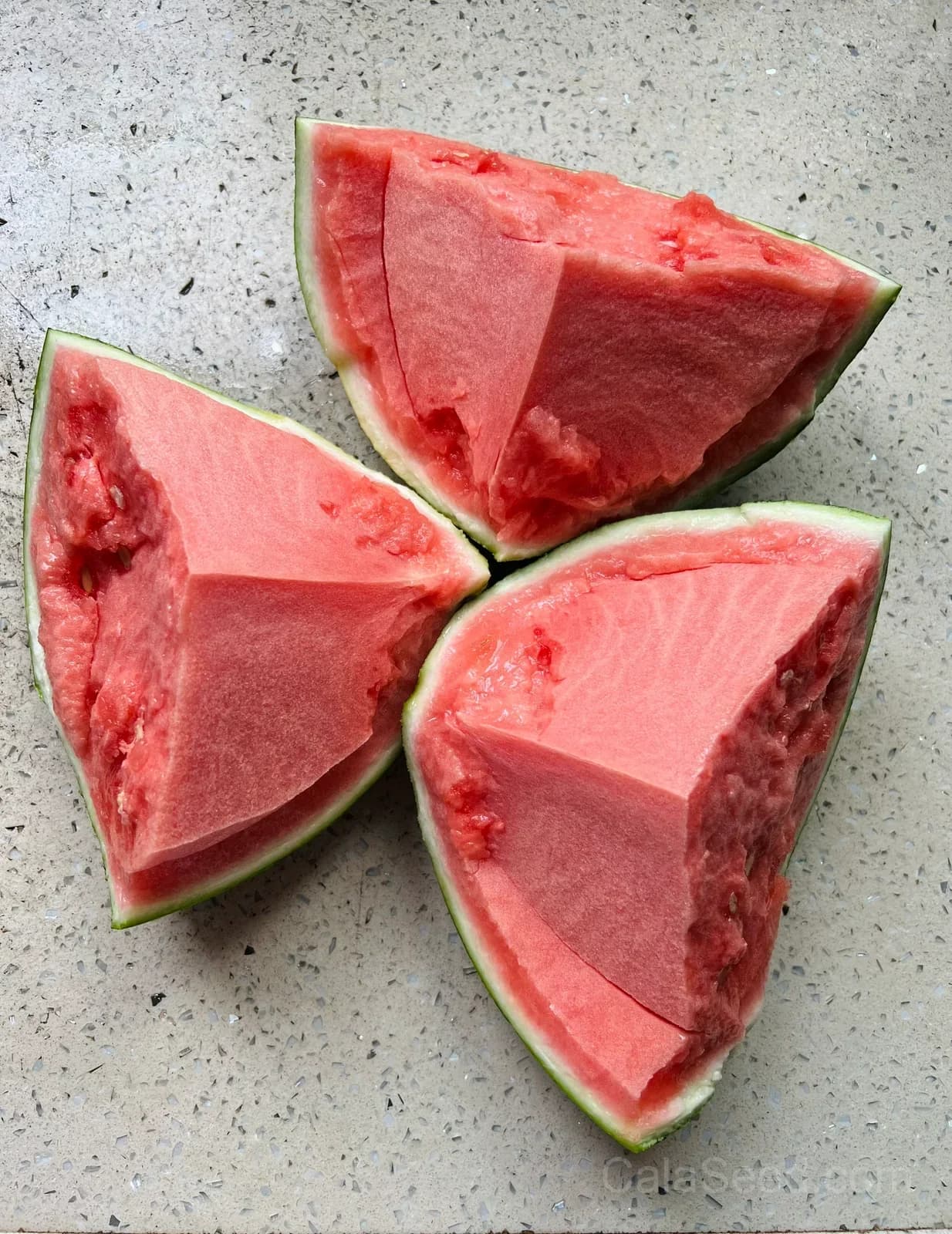 Seedless Watermelon Seeds — Sweet Seedless Summer Fruit - View 2