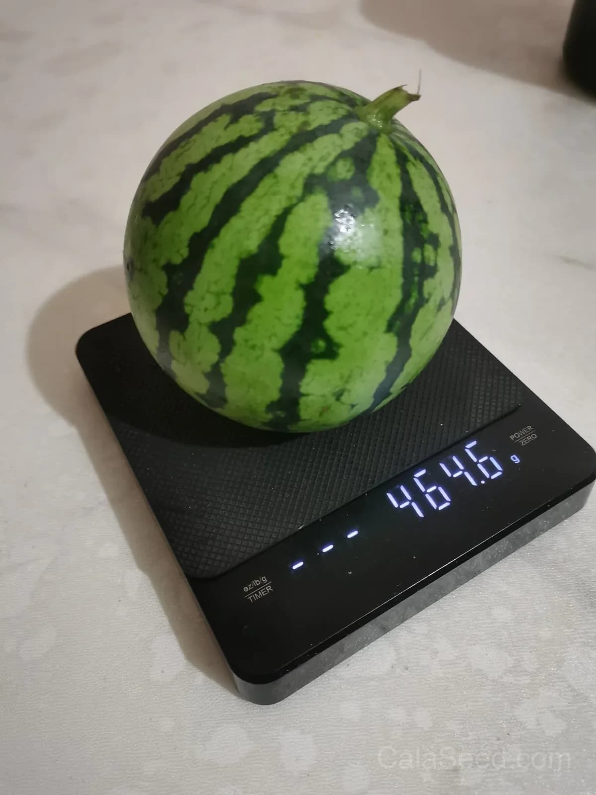 Mini Red-Fleshed Watermelon Seeds - Alt