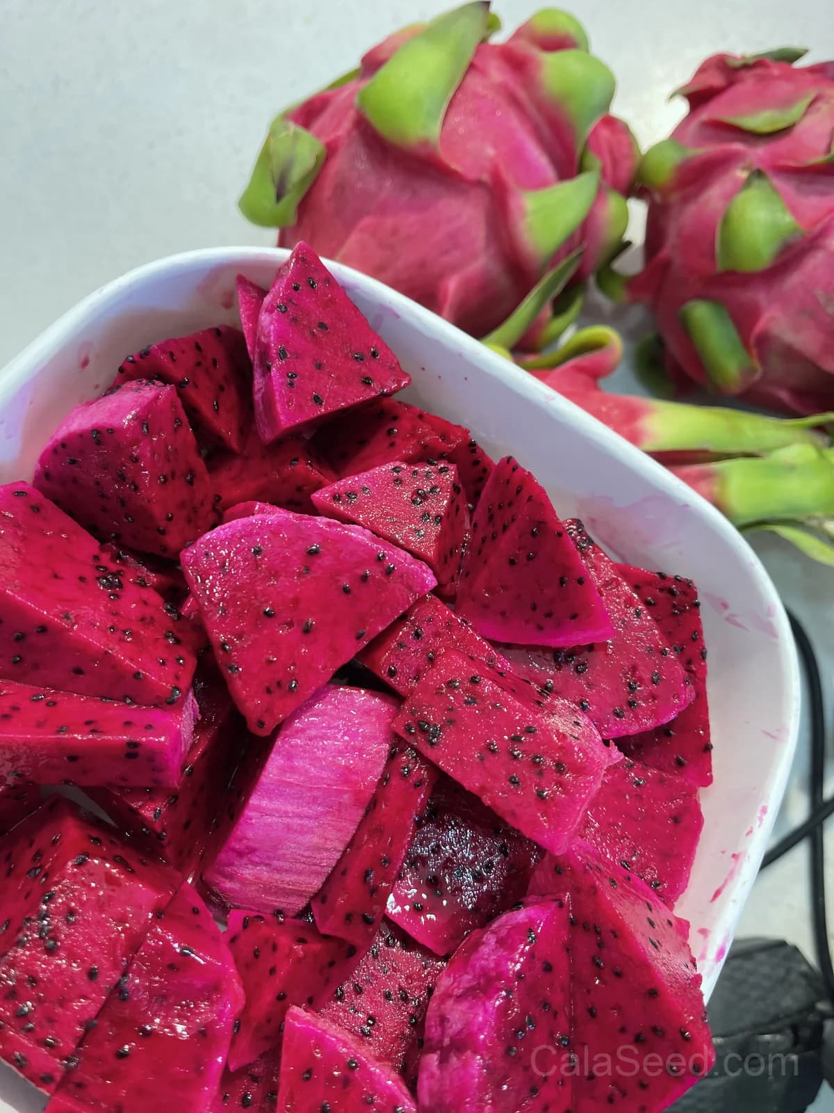 Dragon Fruit 'Red' Seeds — Sweet Tropical Vine Fruit - Alt