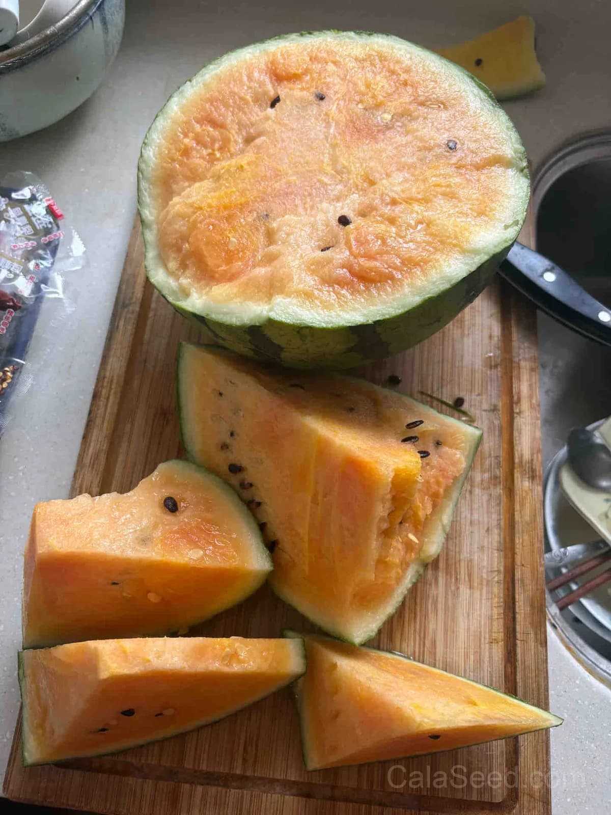 Rainbow Ice Cream Watermelon Seeds - View 2