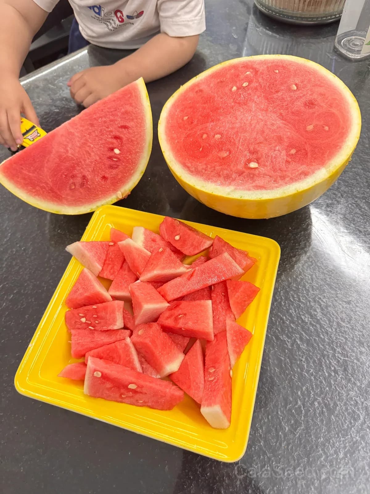 Premium Yellow Skin Seedless Watermelon Seeds | Sweet Rare Variety for Home Gardeners - View 5