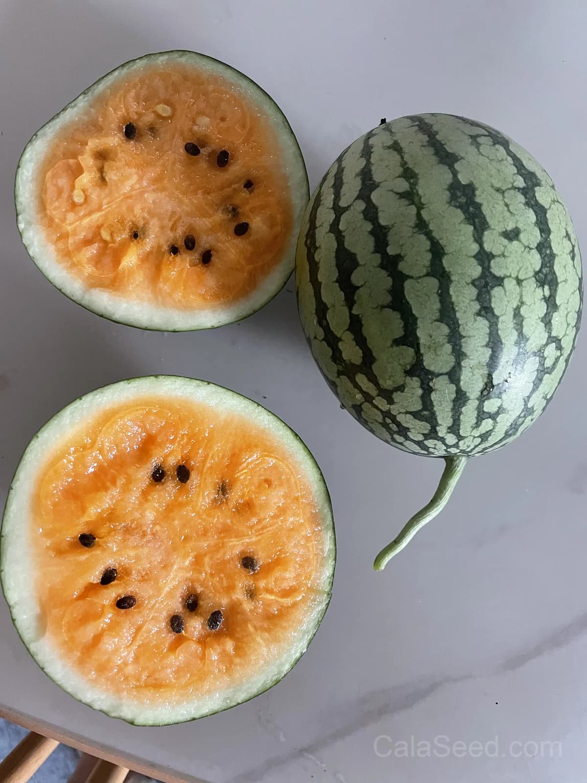 Orange Tendersweet Watermelon Seeds — Sweetest Early Harvest Melon - View 2